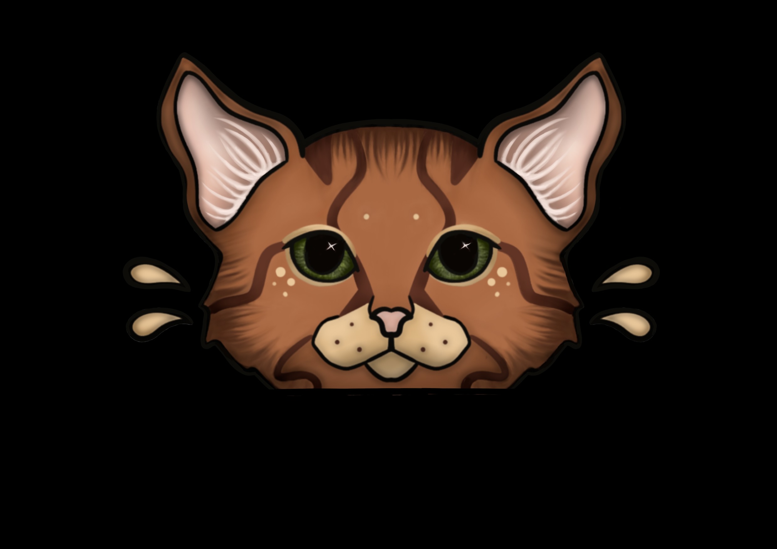 FeliRayn logo